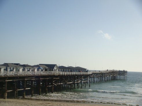 View outside my window